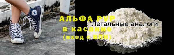гашик Дмитров