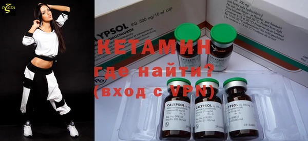 шишки Надым