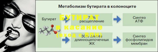 гашик Дмитров