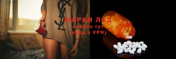 спиды Дмитриев