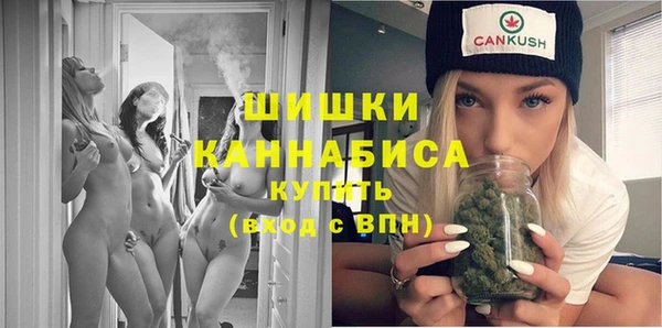 гашик Дмитров