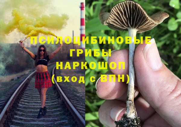 a pvp Елизово