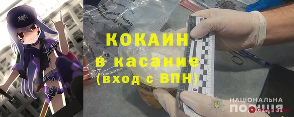 гашик Дмитров