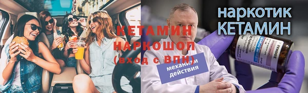 гашик Дмитров