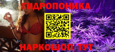 ешки Гатчина