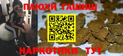ешки Гатчина