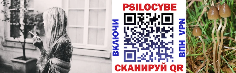 Псилоцибиновые грибы Psilocybine cubensis  купить  цена  Междуреченск 