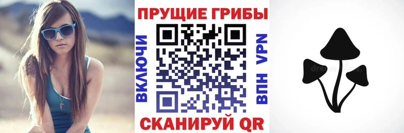 Галлюциногенные грибы Psilocybine cubensis Междуреченск
