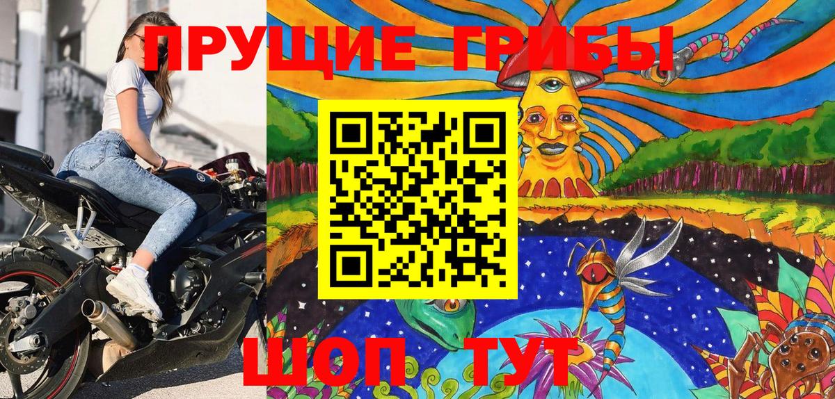 Псилоцибиновые грибы Cubensis  Вход с VPN  что такое наркотик  Междуреченск 